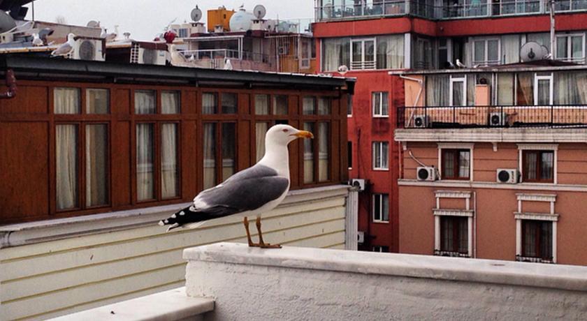 Flower Palace Hotel Istanbul Luaran gambar
